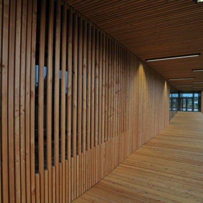 Salle Orlienas 11 400x400